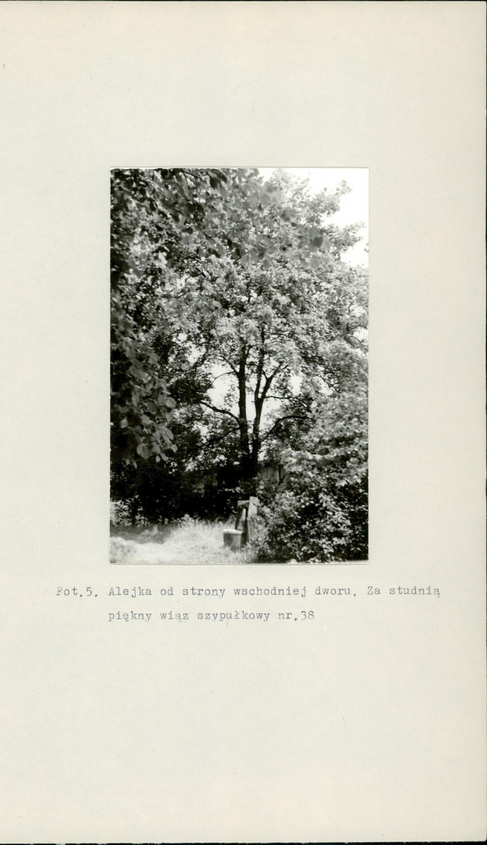 Ewidencja parkowa, skan nr 20