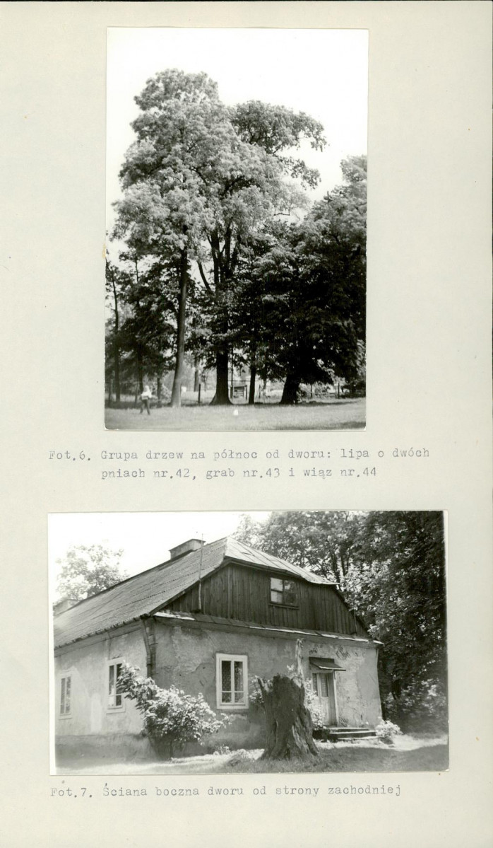 Ewidencja parkowa, skan nr 21