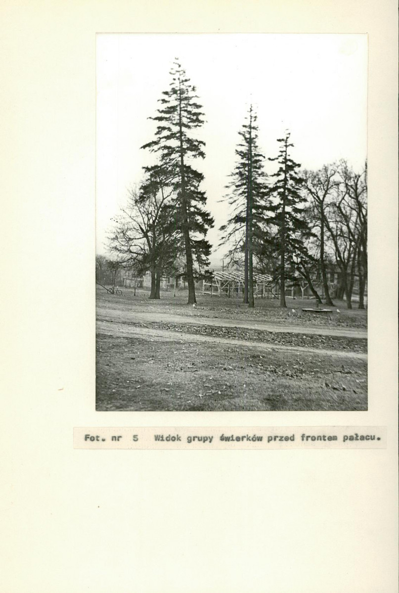 Ewidencja parkowa, skan nr 28