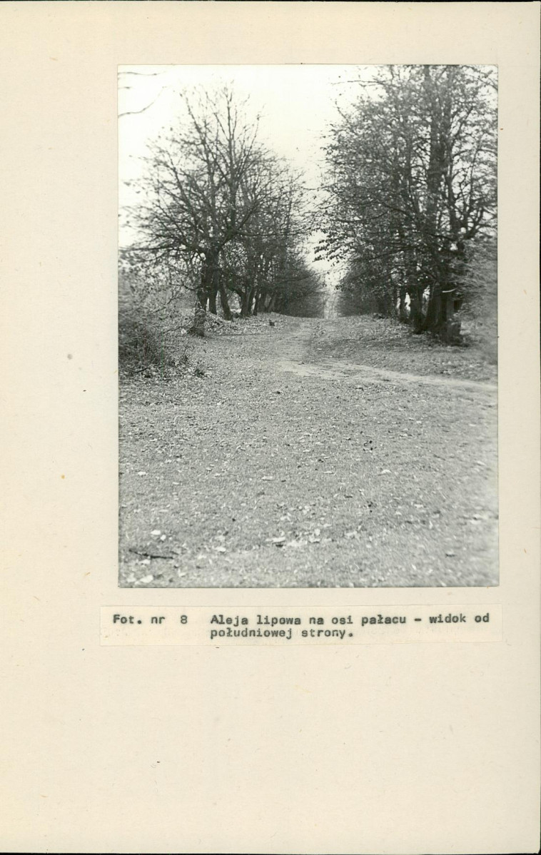 Ewidencja parkowa, skan nr 31