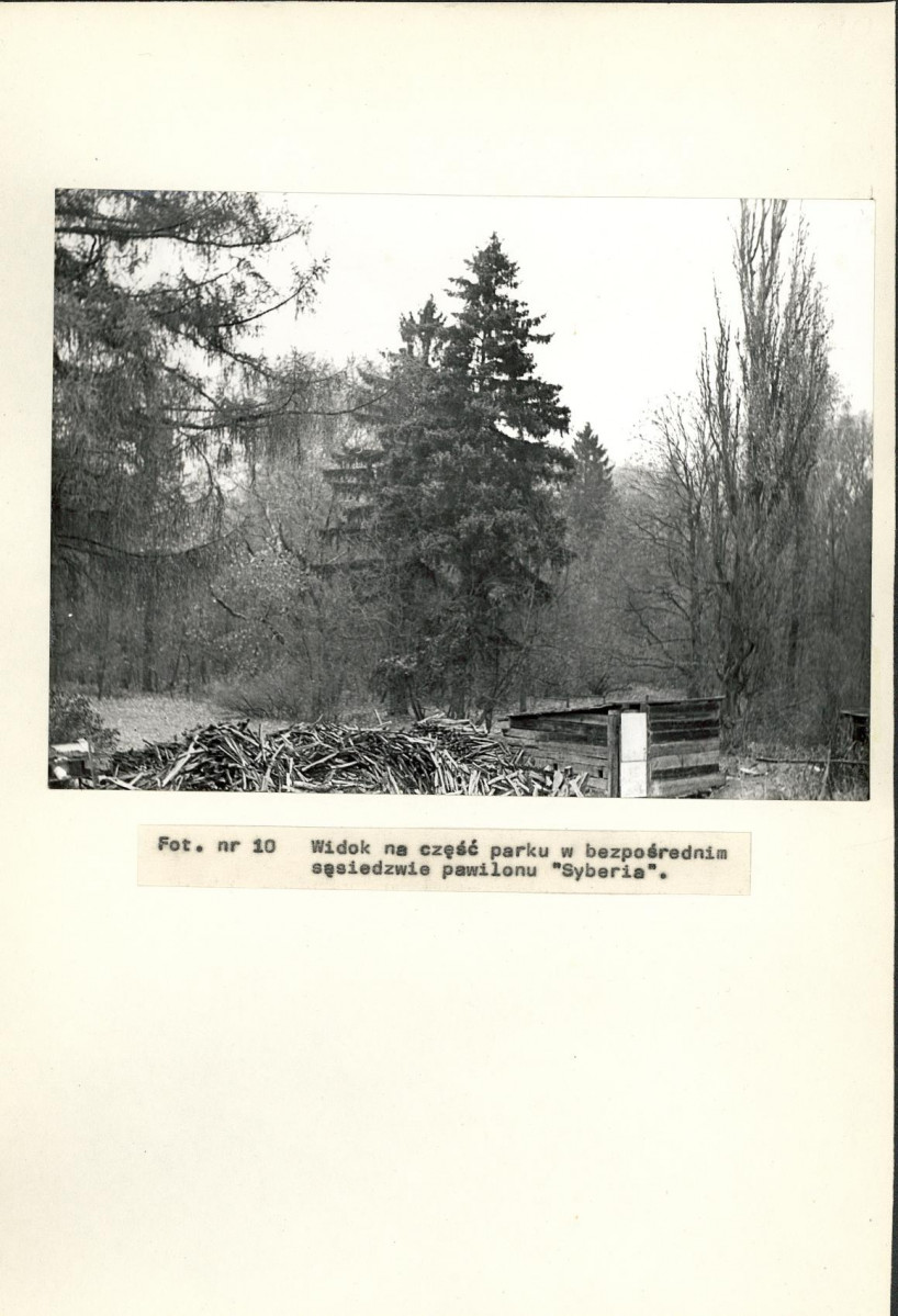 Ewidencja parkowa, skan nr 33