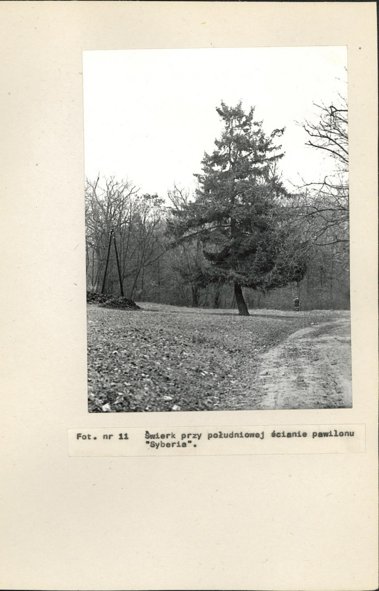 Ewidencja parkowa, skan nr 34