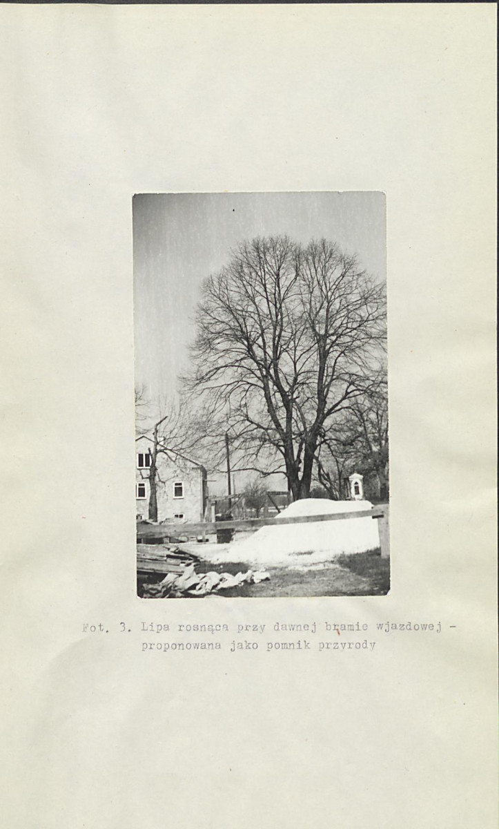 Ewidencja parkowa, skan nr 16