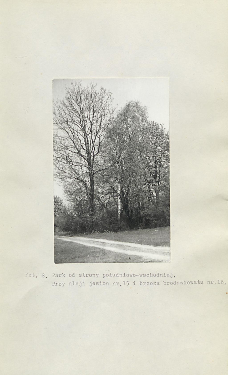 Ewidencja parkowa, skan nr 19
