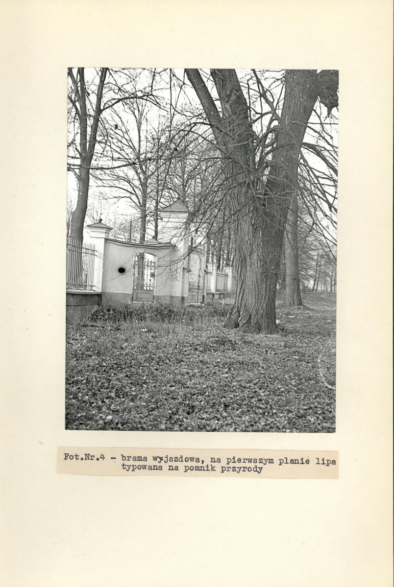 Ewidencja parkowa, skan nr 29