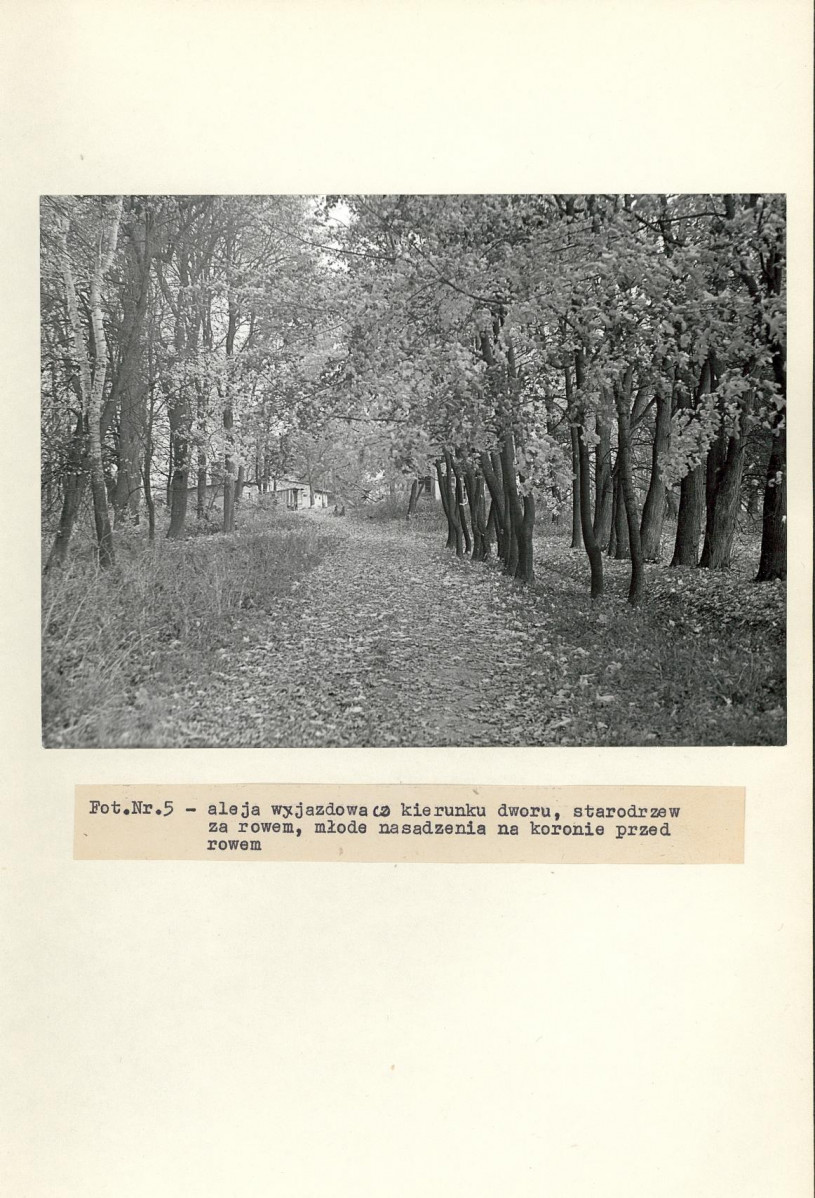 Ewidencja parkowa, skan nr 30