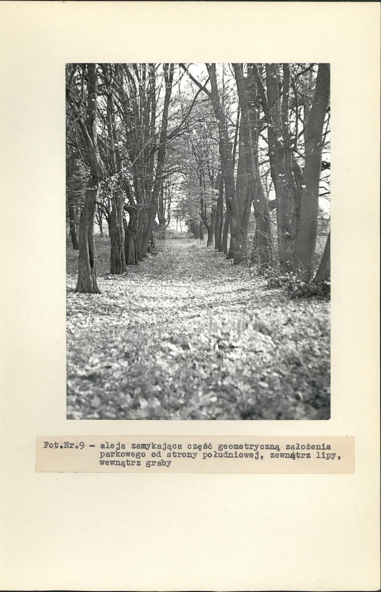 Ewidencja parkowa, skan nr 34