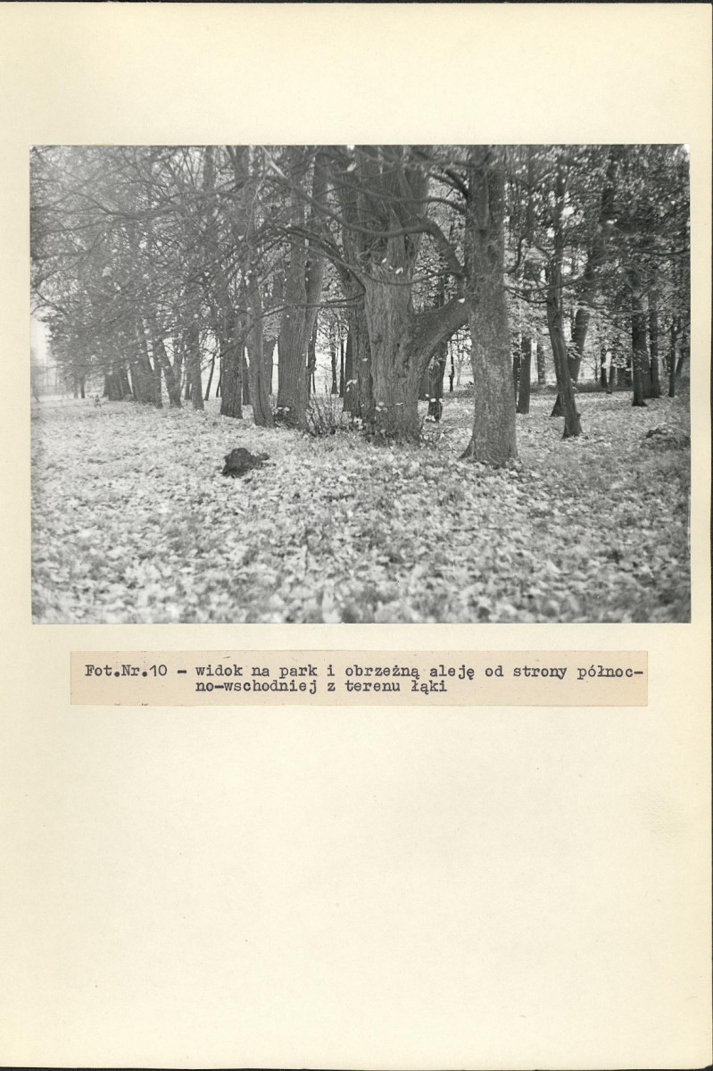 Ewidencja parkowa, skan nr 35