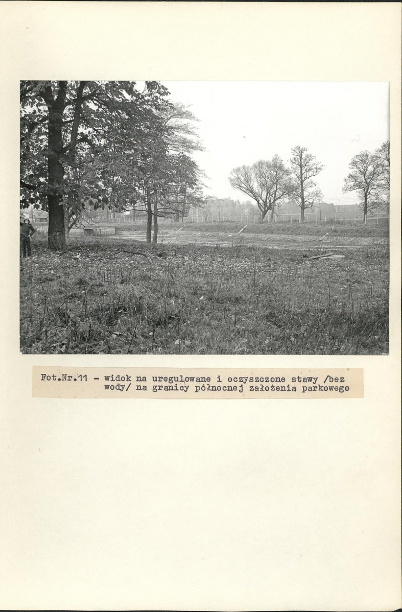 Ewidencja parkowa, skan nr 36