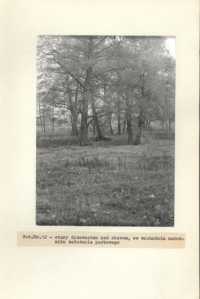 Ewidencja parkowa, skan nr 37
