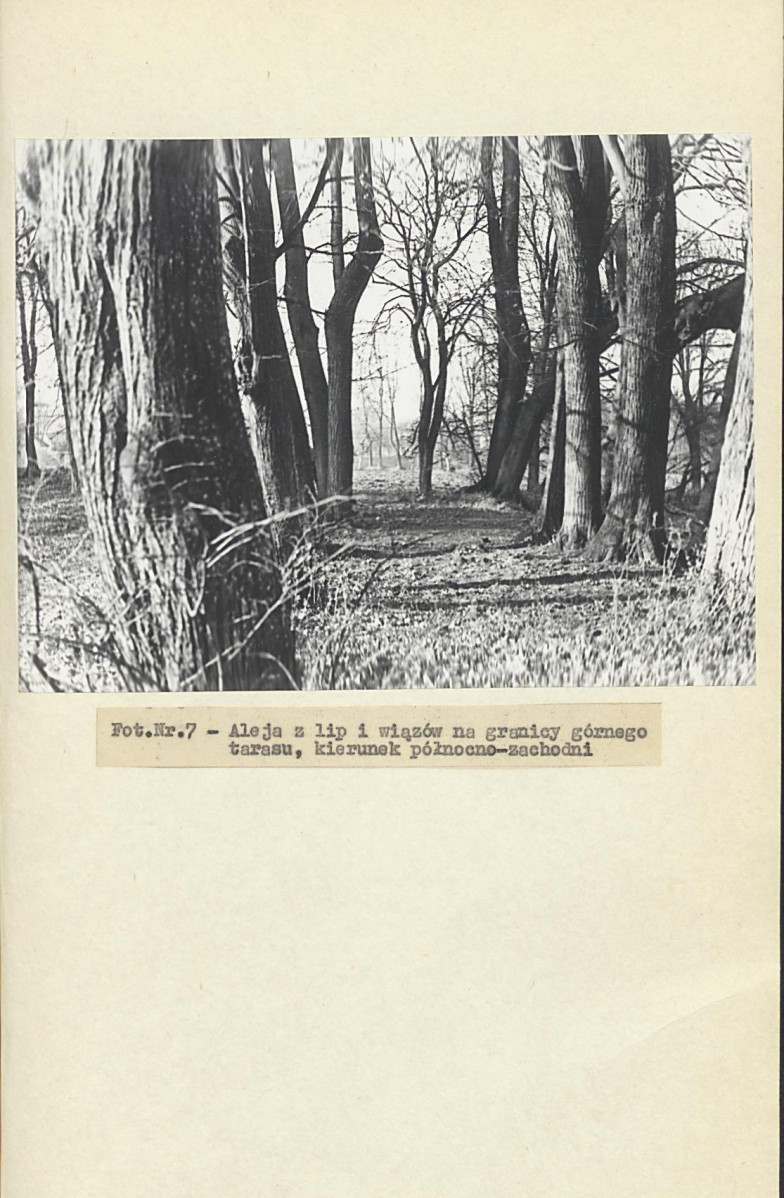 EP - Ewidencja parkowa, skan nr 31
