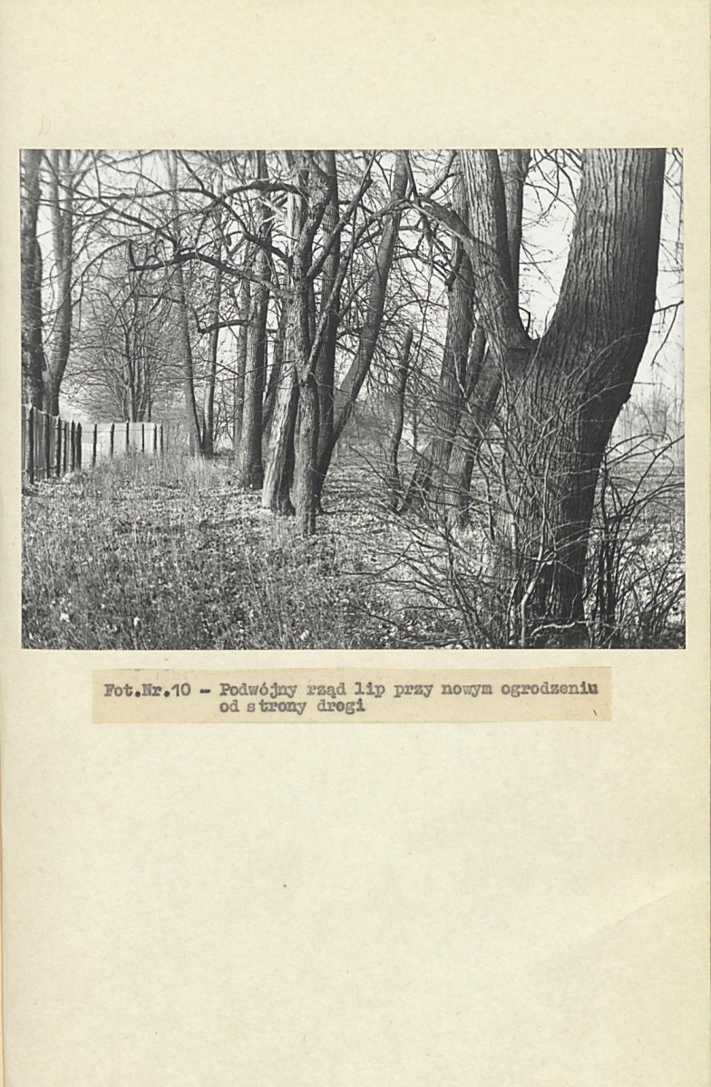 EP - Ewidencja parkowa, skan nr 34