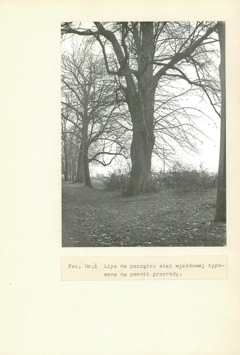 Ewidencja parkowa, skan nr 21