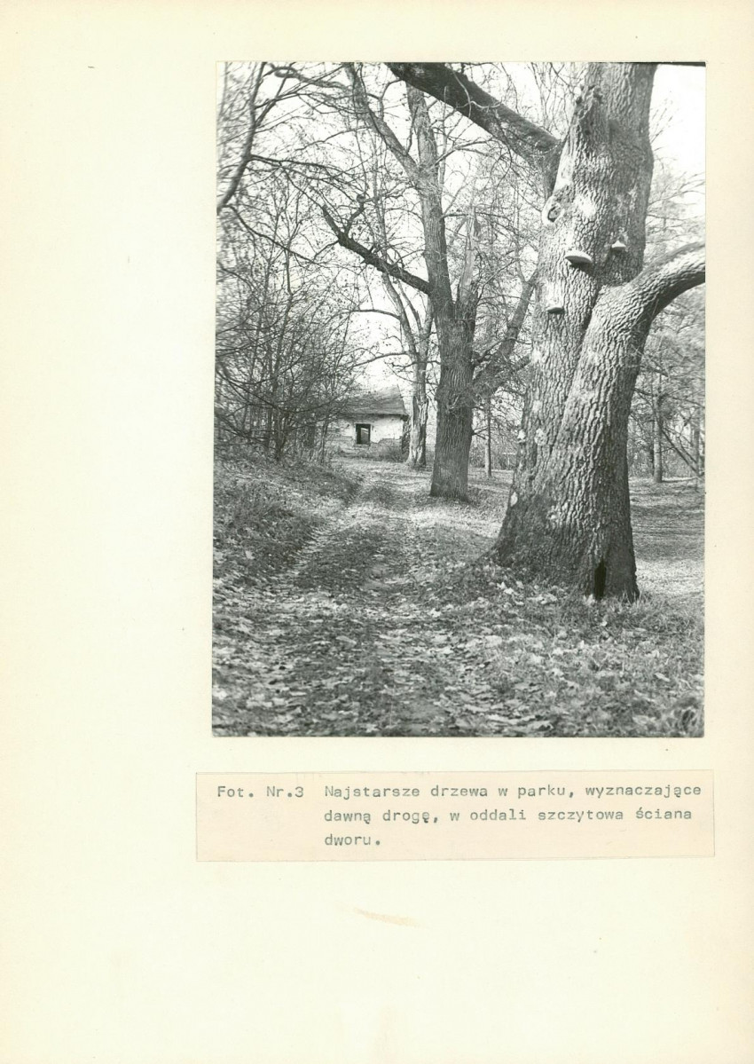 Ewidencja parkowa, skan nr 23