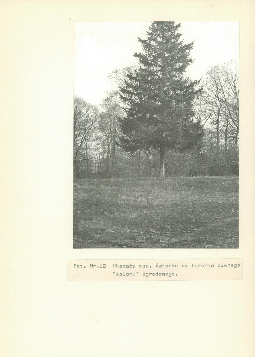 Ewidencja parkowa, skan nr 32