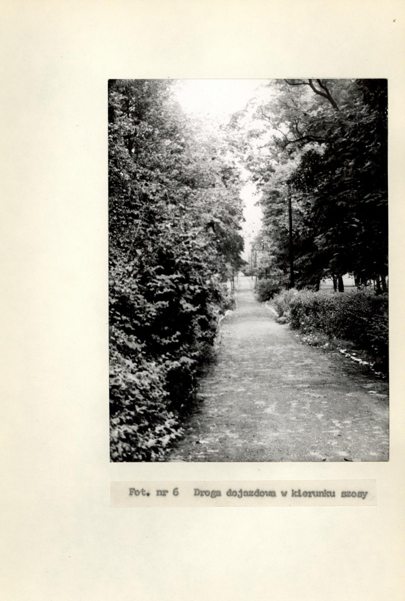 Ewidencja parkowa, skan nr 23