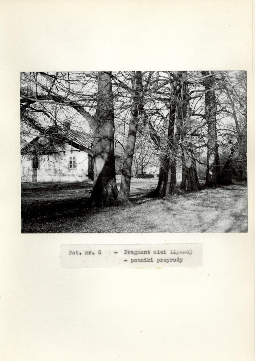 Ewidencja parkowa, skan nr 26