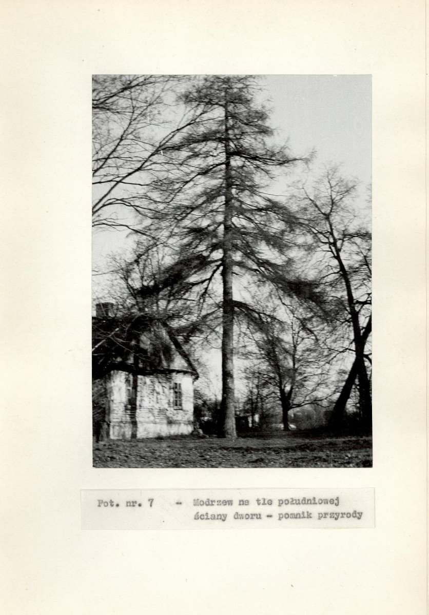 Ewidencja parkowa, skan nr 27