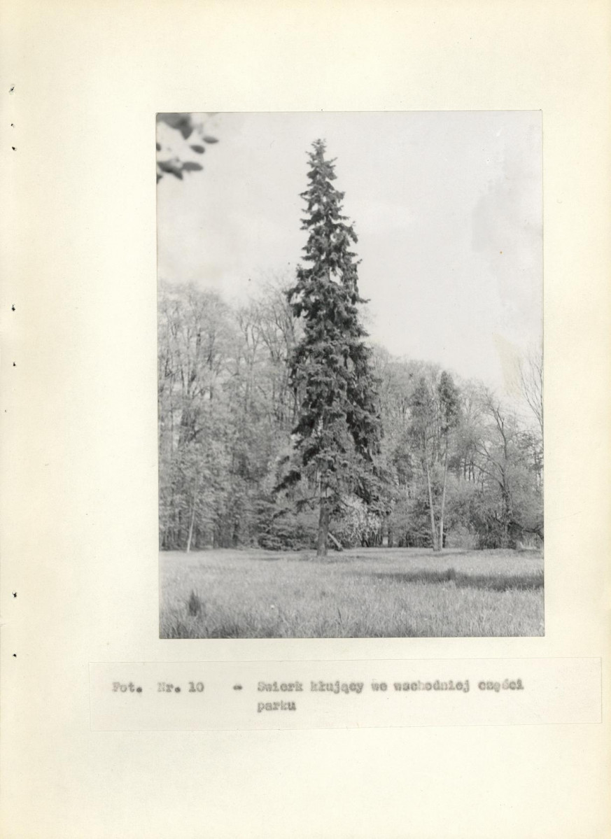 Ewidencja parkowa, skan nr 28