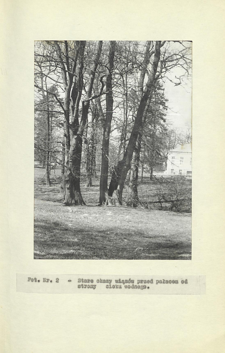 Ewidencja parkowa, skan nr 20