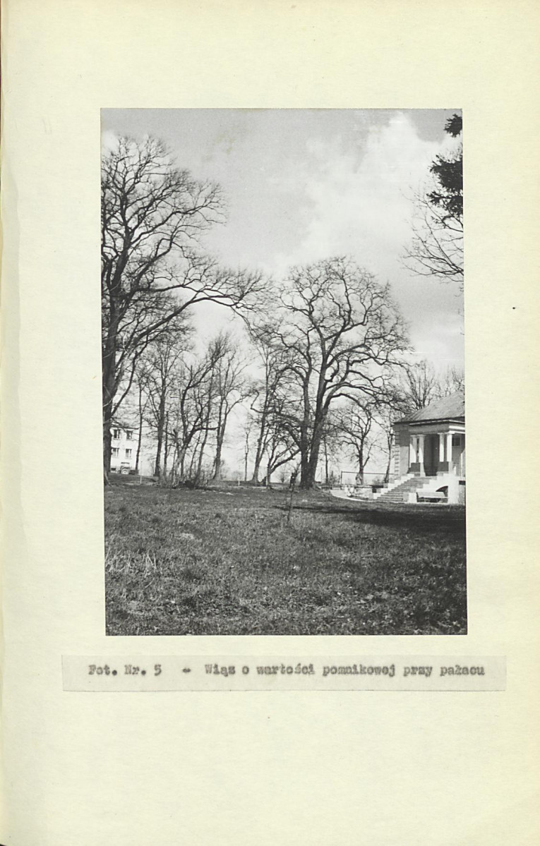 Ewidencja parkowa, skan nr 23