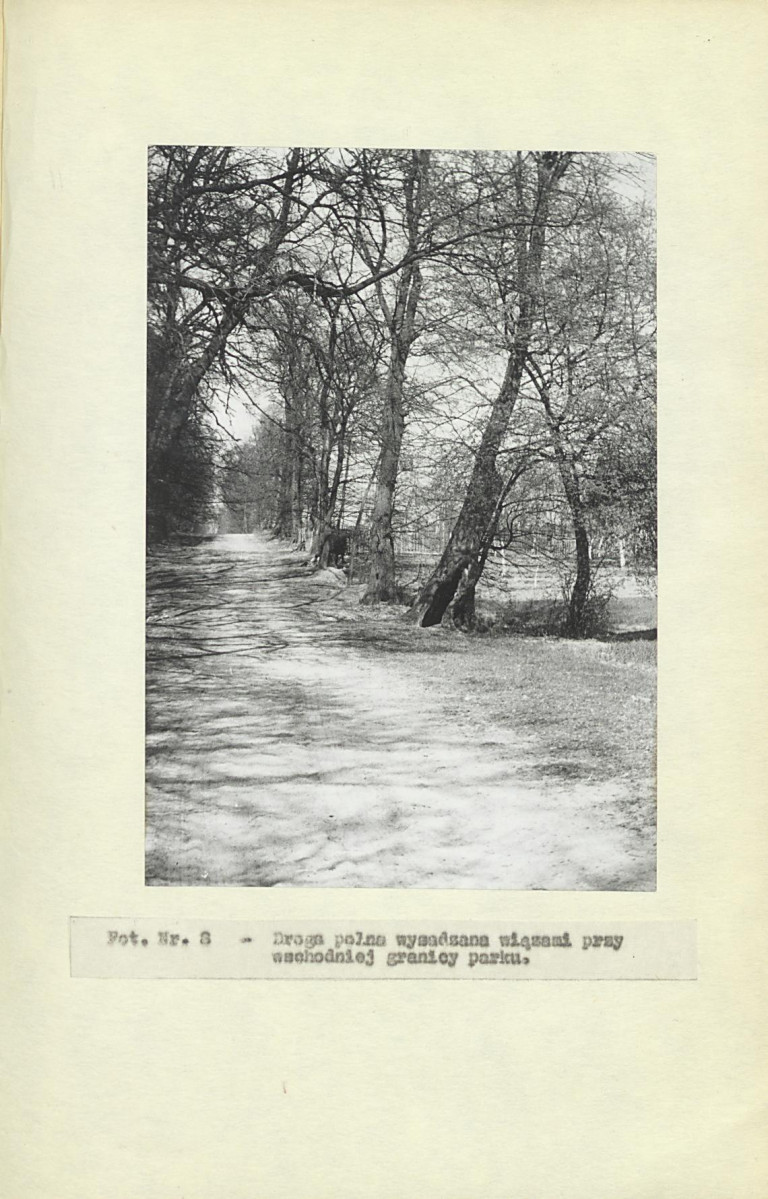 Ewidencja parkowa, skan nr 26