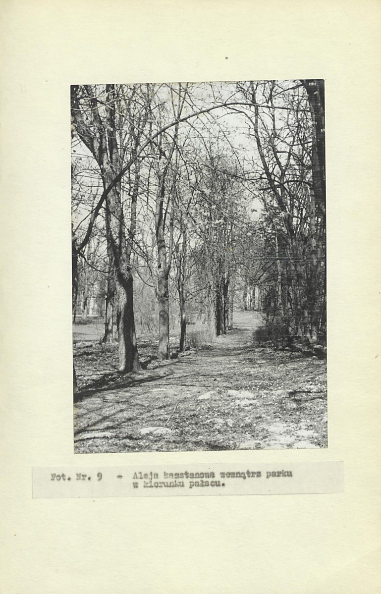 Ewidencja parkowa, skan nr 27