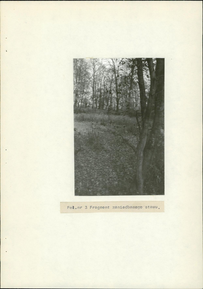 Ewidencja parkowa, skan nr 19