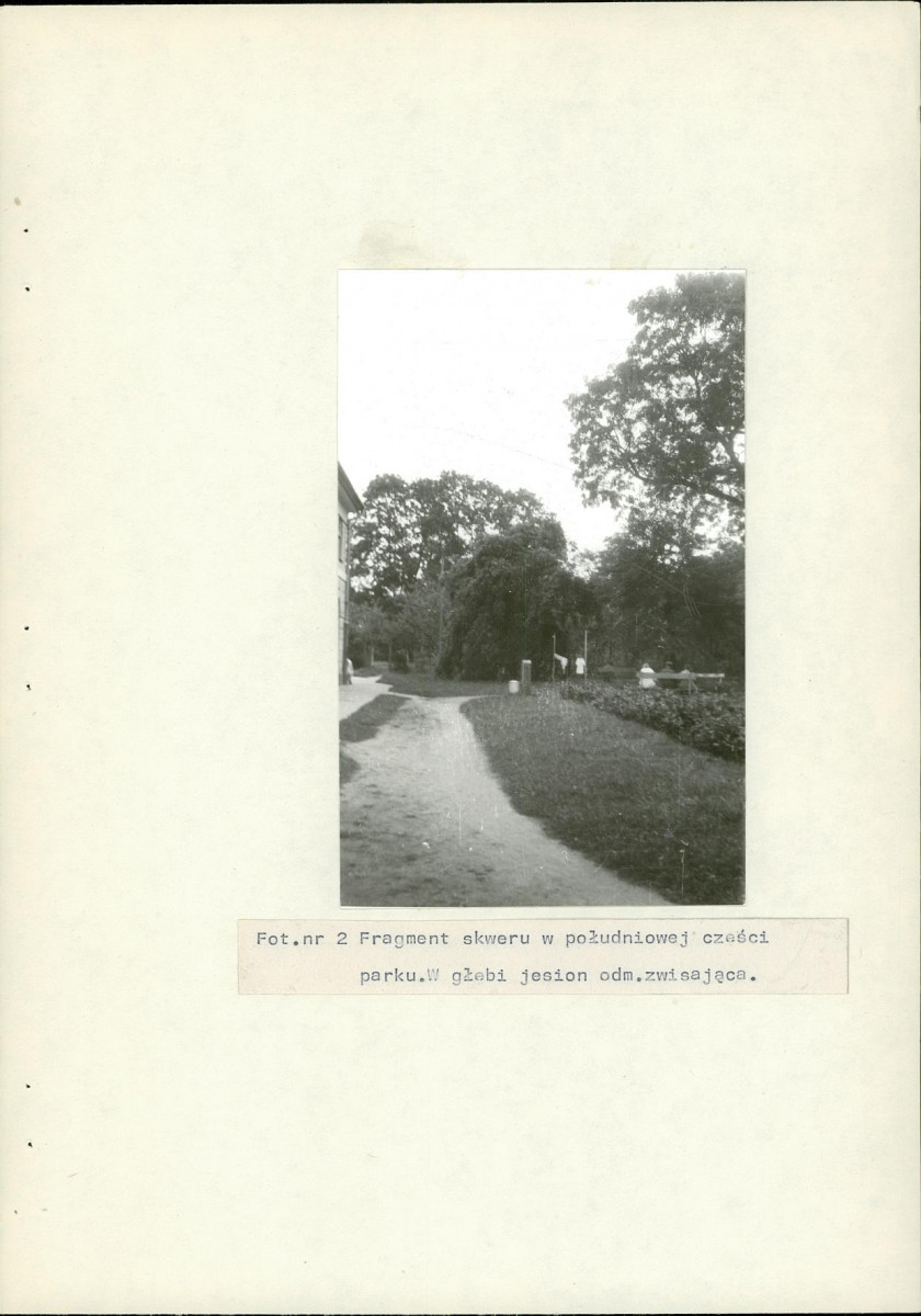 Ewidencja parkowa, skan nr 18