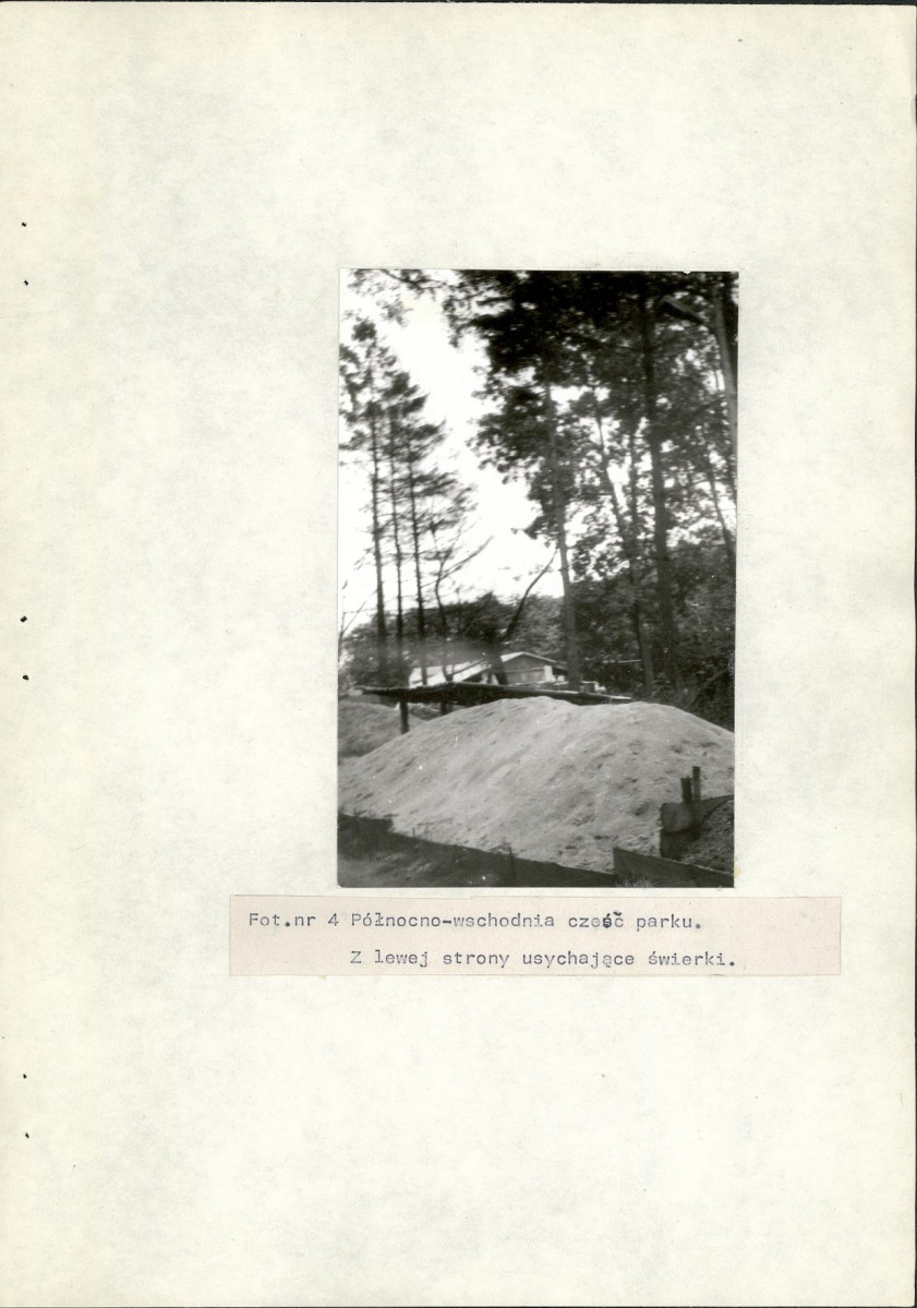 Ewidencja parkowa, skan nr 20