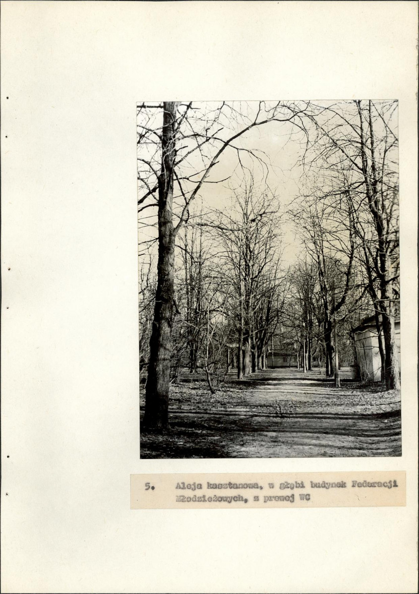 EP - Ewidencja parkowa, skan nr 36