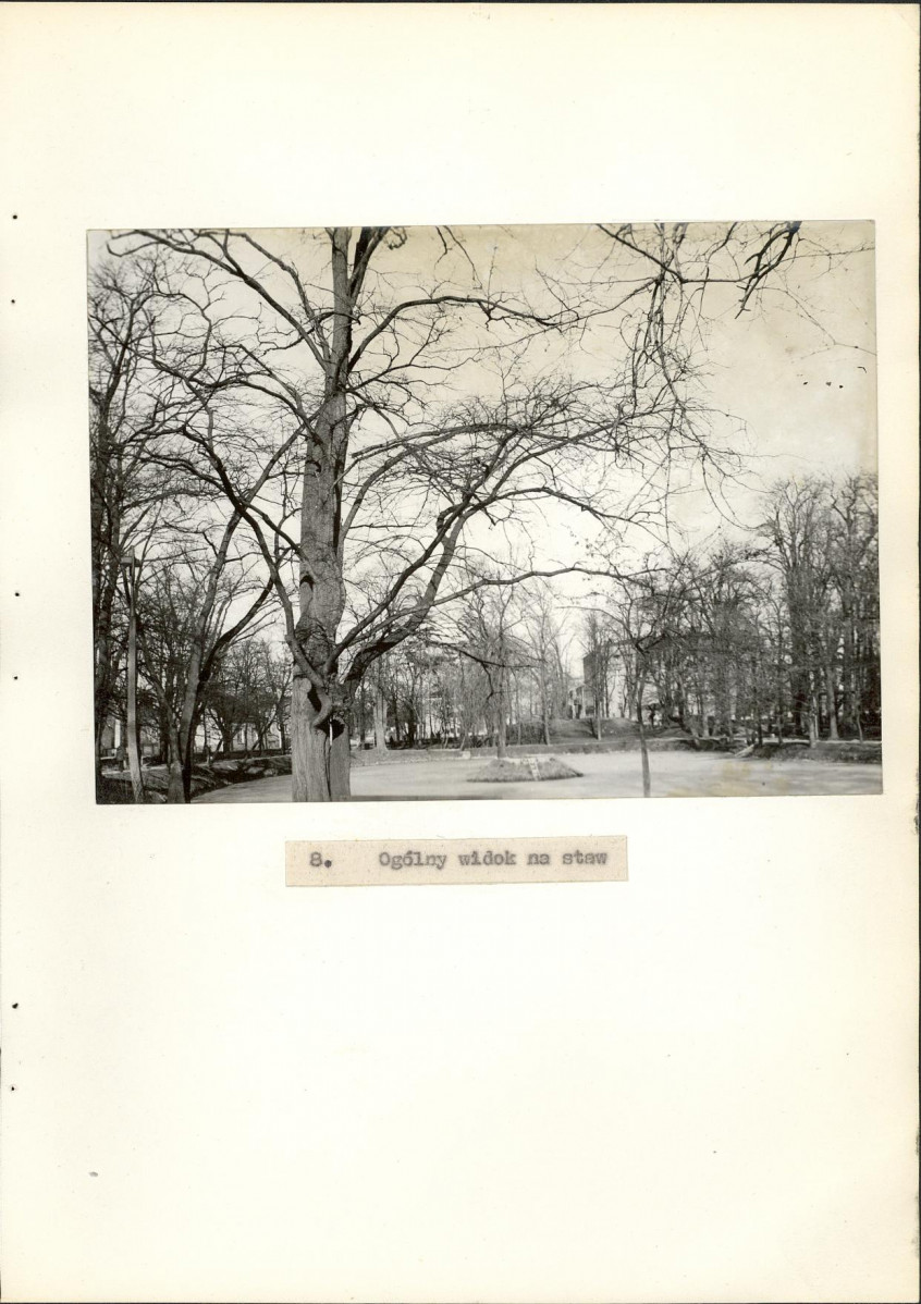 EP - Ewidencja parkowa, skan nr 39