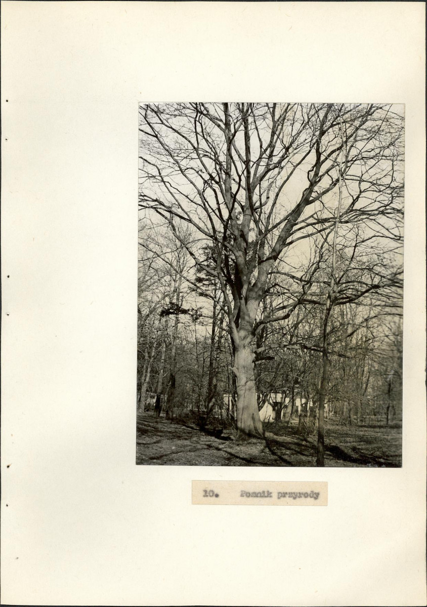 EP - Ewidencja parkowa, skan nr 41