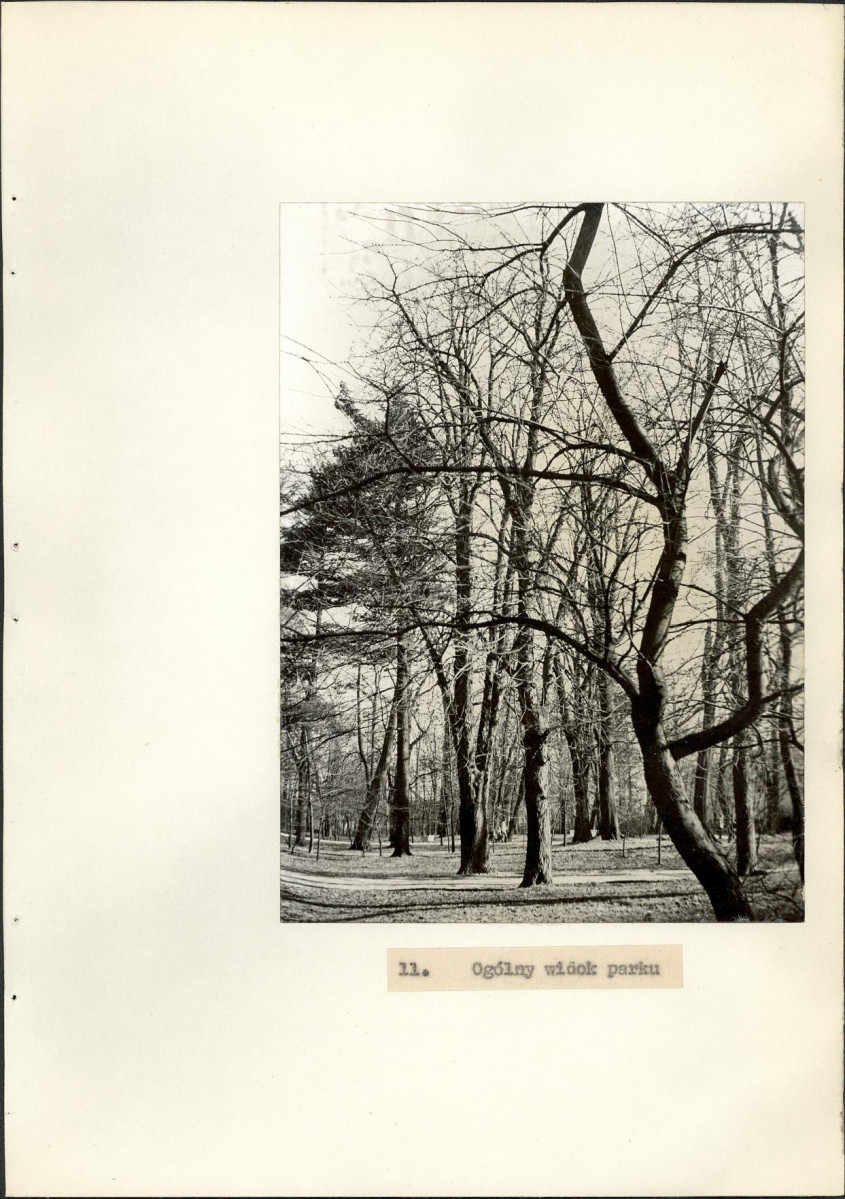 EP - Ewidencja parkowa, skan nr 42