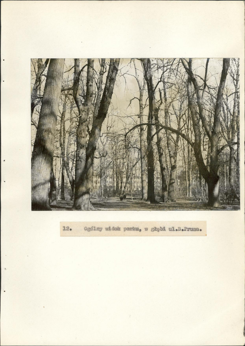 EP - Ewidencja parkowa, skan nr 43