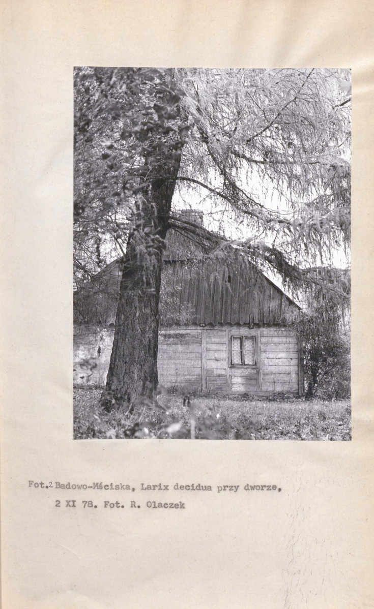 EP - Ewidencja parkowa, skan nr 13