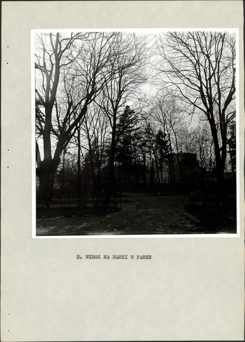 Ewidencja parkowa, skan nr 19