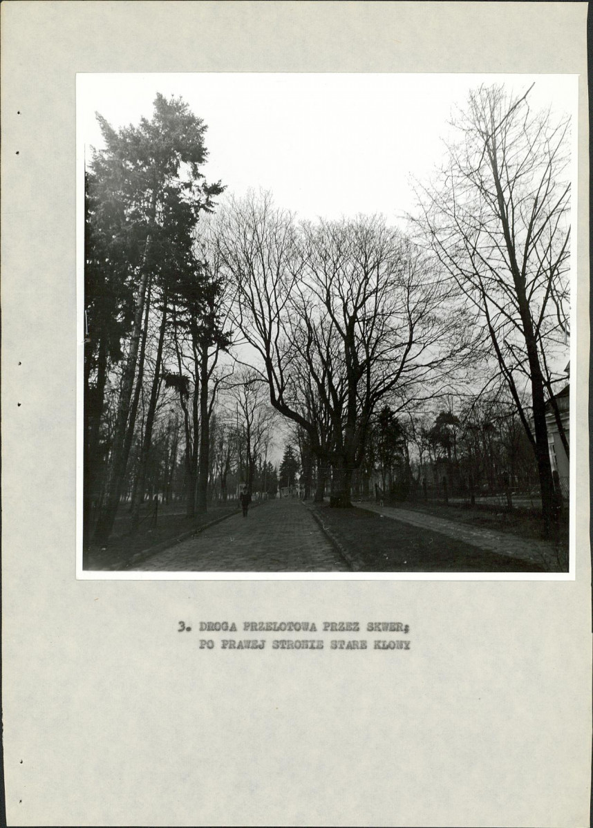 Ewidencja parkowa, skan nr 20