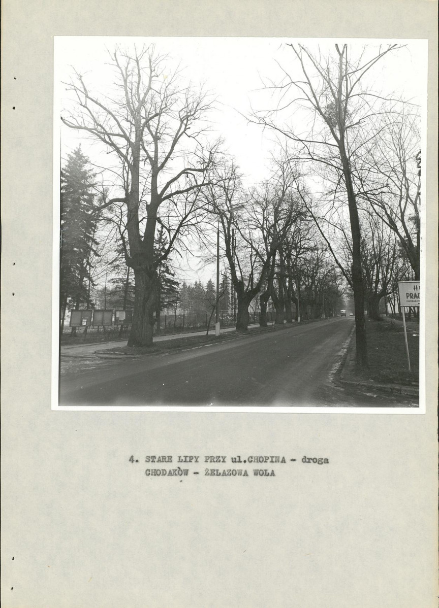 Ewidencja parkowa, skan nr 21