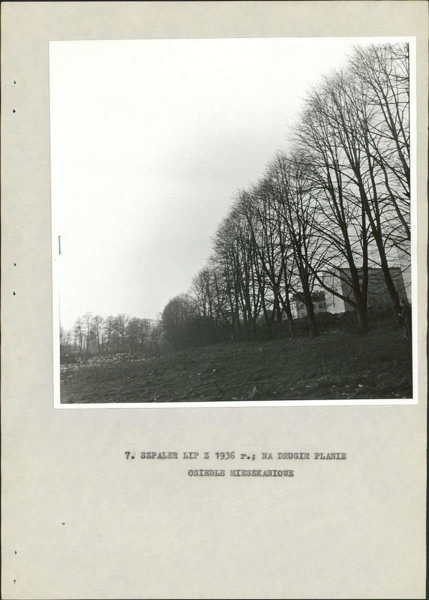 Ewidencja parkowa, skan nr 24