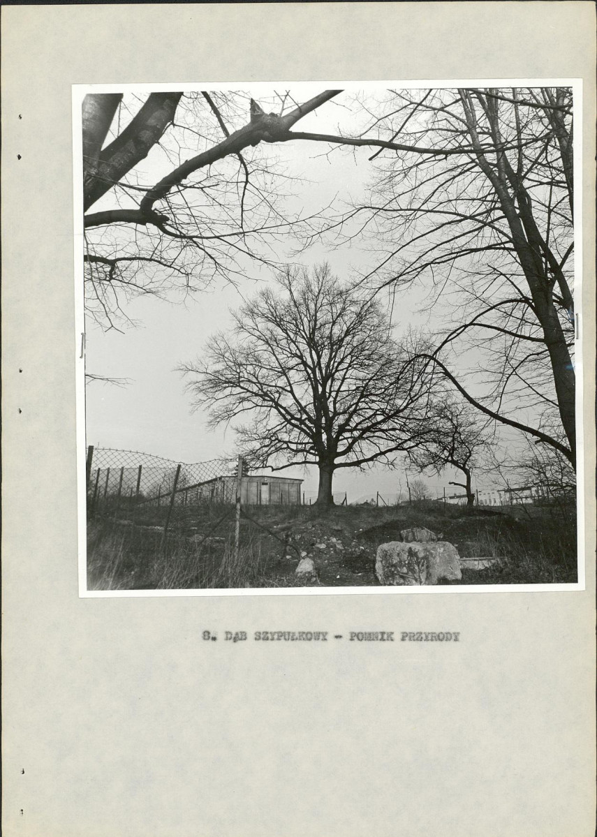 Ewidencja parkowa, skan nr 25