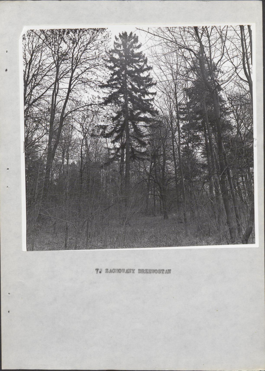 Ewidencja parkowa, skan nr 22