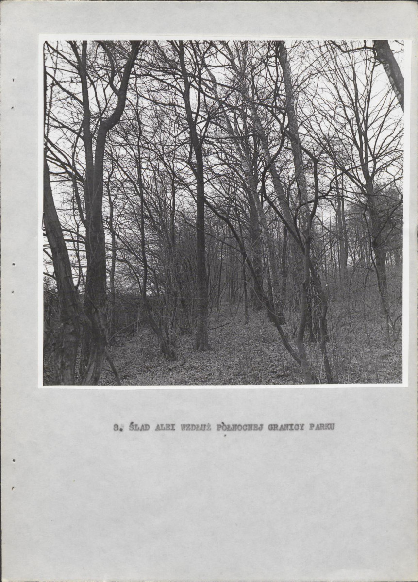 Ewidencja parkowa, skan nr 23