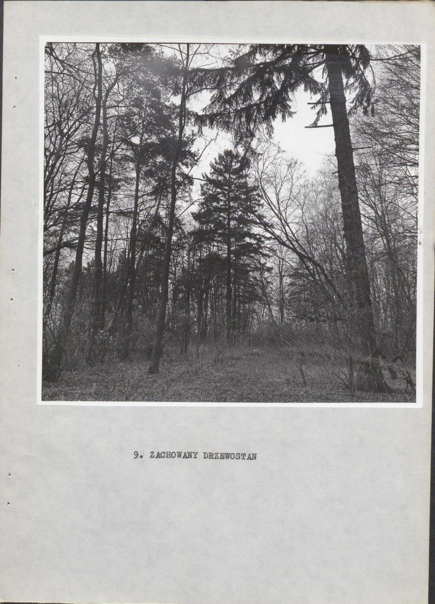 Ewidencja parkowa, skan nr 24