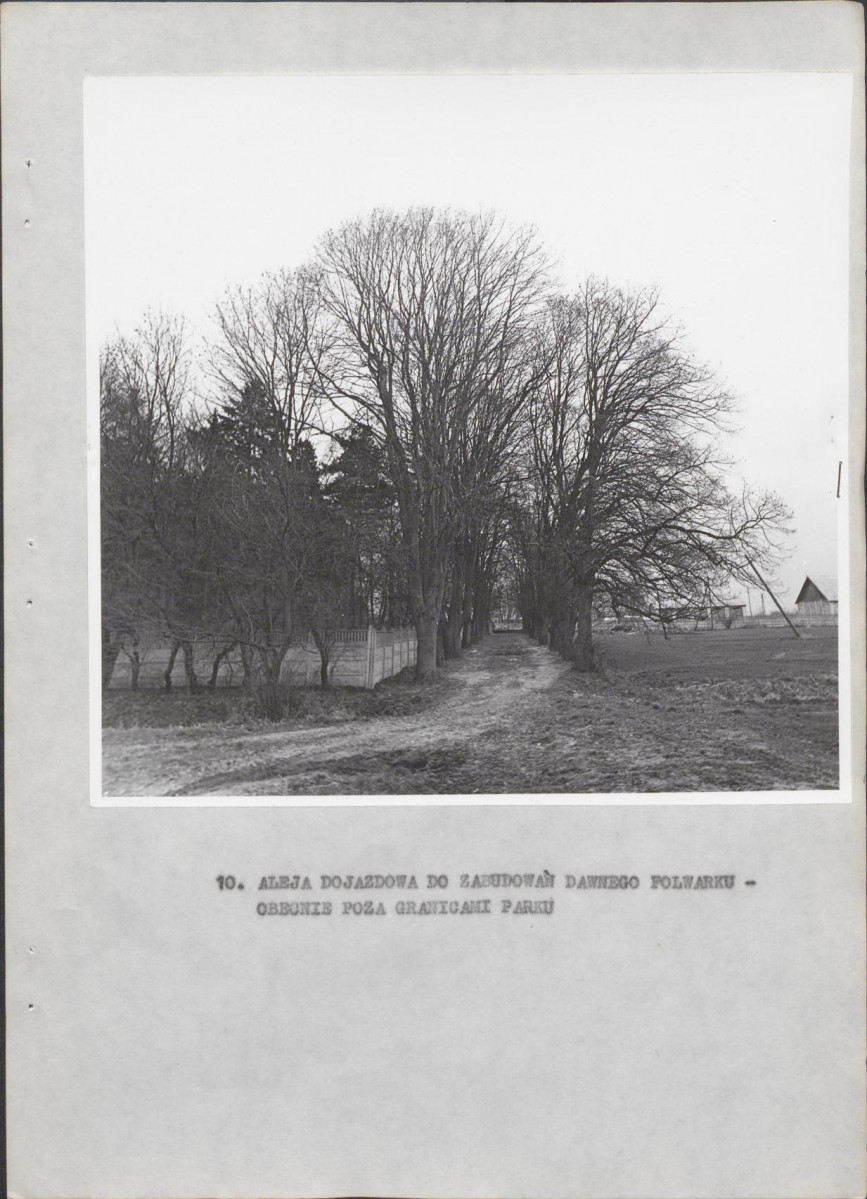 Ewidencja parkowa, skan nr 25