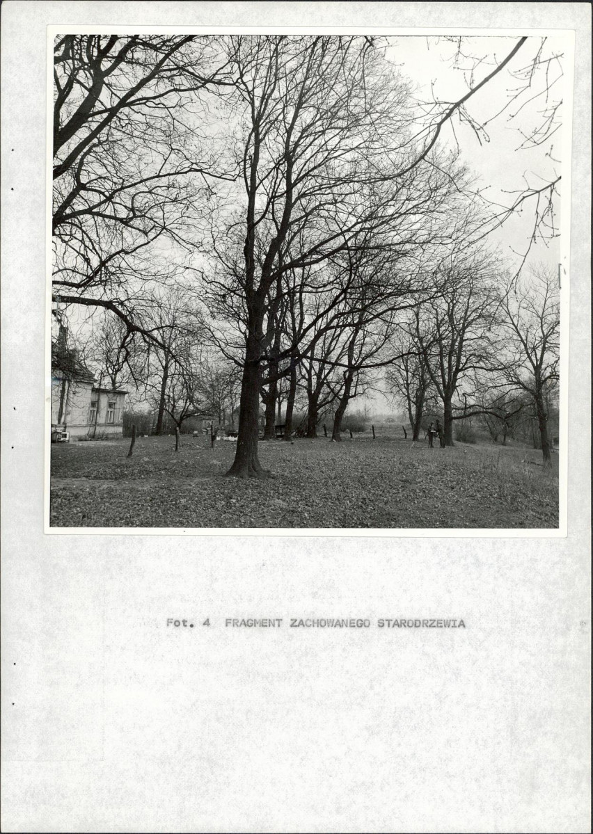 Ewidencja parkowa, skan nr 20