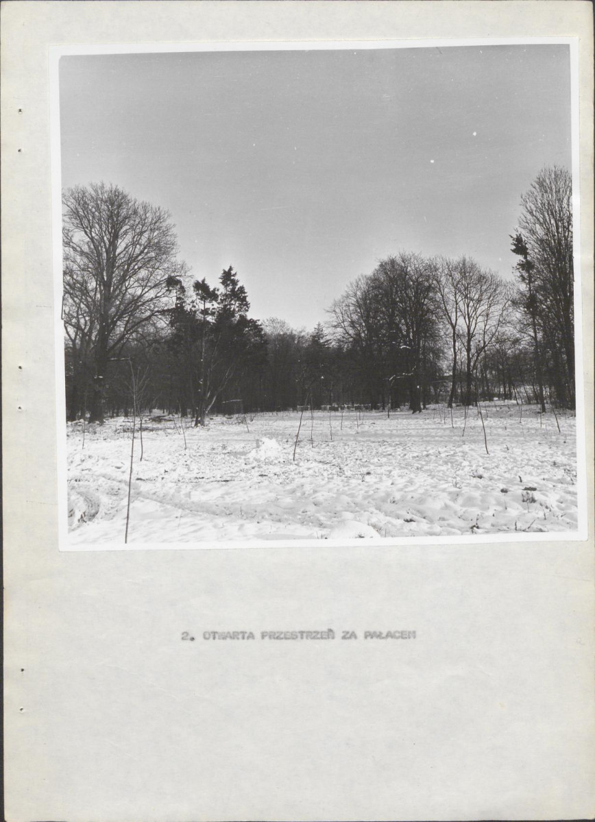 Ewidencja parkowa, skan nr 17
