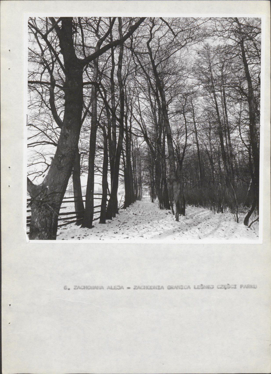 Ewidencja parkowa, skan nr 21