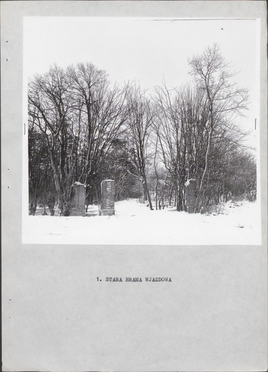 Ewidencja parkowa, skan nr 15