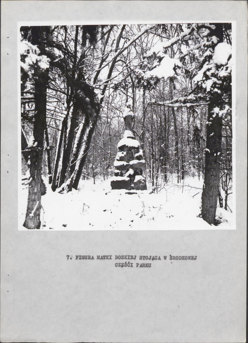 Ewidencja parkowa, skan nr 21